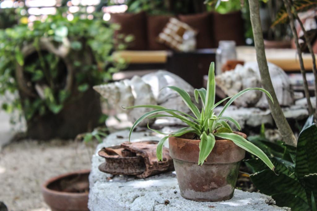 Secret Garden Tulum Hotel Ngoại thất bức ảnh
