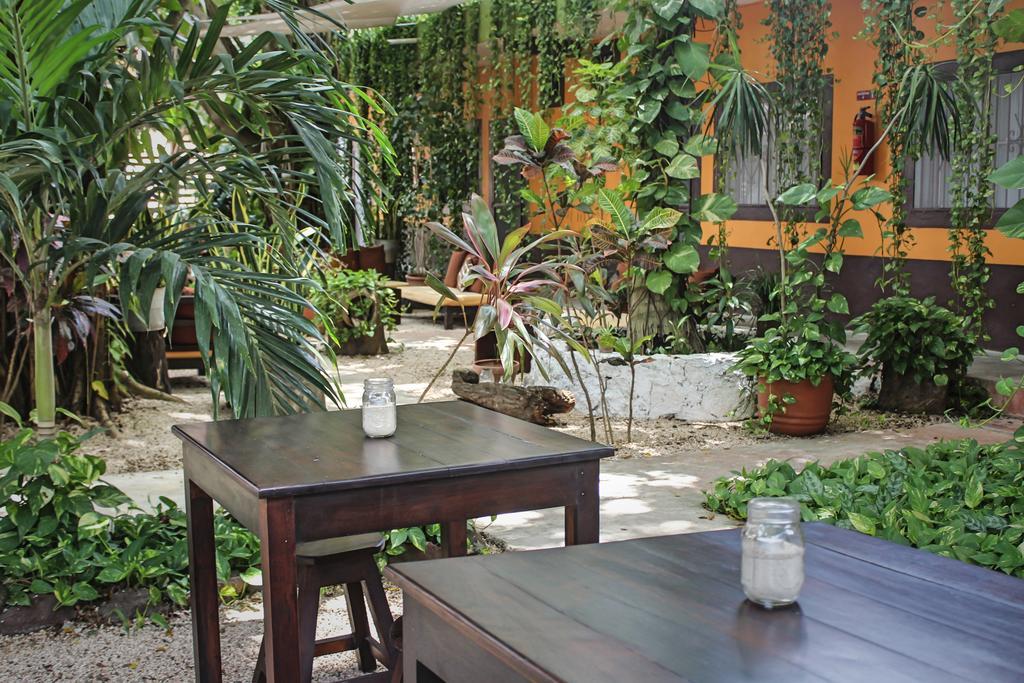 Secret Garden Tulum Hotel Ngoại thất bức ảnh