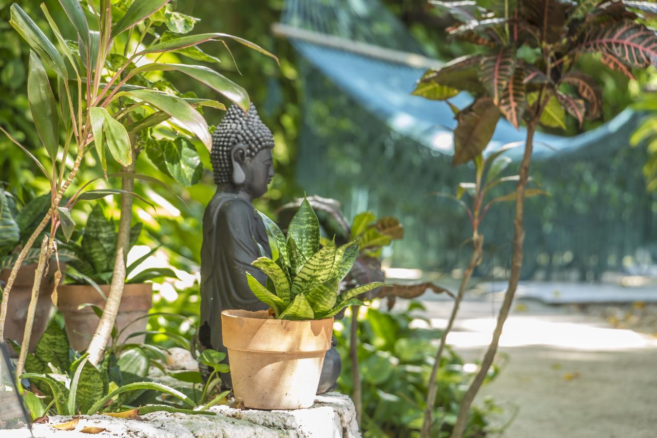 Secret Garden Tulum Hotel Ngoại thất bức ảnh